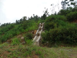 DSC02319